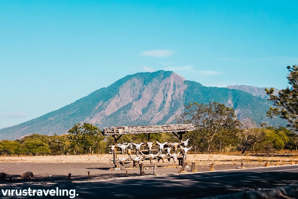 Foto Paket Wisata